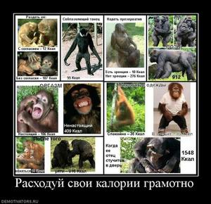 форекс или фондовый