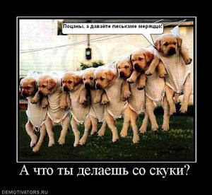 материал форекс
