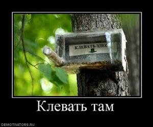 форекс робот бесплатно