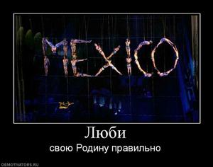 финам форекс отзывы