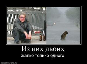 ежедневный прогноз форекс