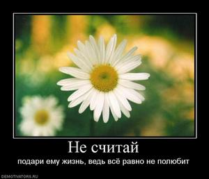 индикатор новостей форекс
