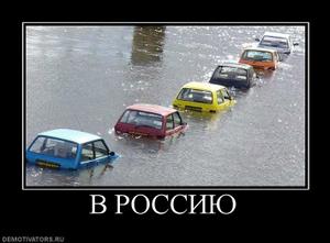 форекс для начинающих видео