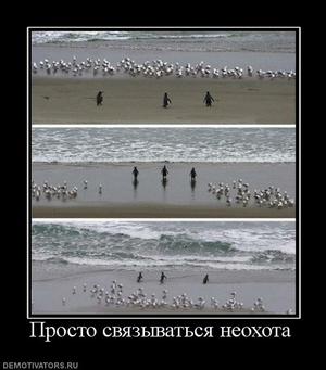 радио форекс онлайн