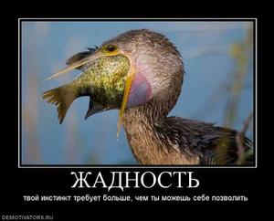 бесплатная аналитика форекс